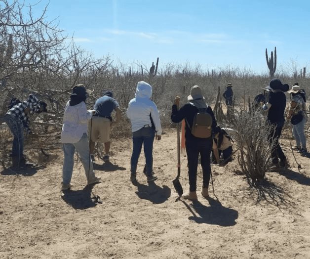 Continúa hallazgo de fosas clandestinas en BCS Continúa hallazgo de fosas clandestinas en BCS