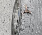 Autoridades  tardan en retirar estos objetos: Cesan las balaceras y afloran ponchallantas