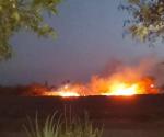 Incendio de pastizal en colonia Progreso