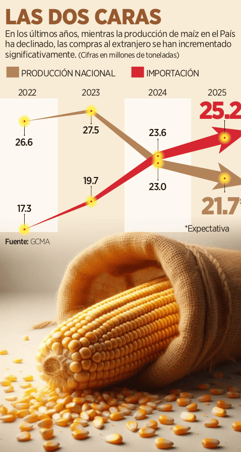 Disminuye en 2 a&ntilde;os producci&oacute;n del ma&iacute;z