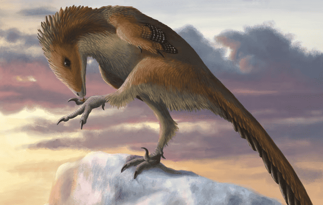 Es mexicano el primer dinosaurio con inteligencia superior