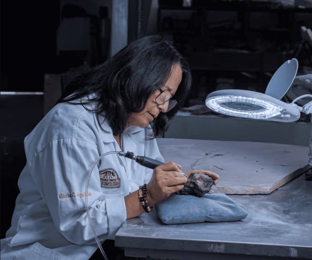 Es mexicano el primer dinosaurio con inteligencia superior