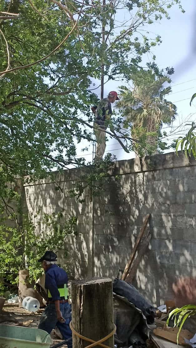 Cuidaron un predio por 25 años: Echan a la calle  a dos abuelitos