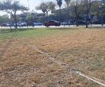 Languidece área verde de plaza La República