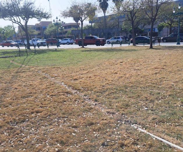Languidece área verde de plaza La República Languidece área verde de plaza La República