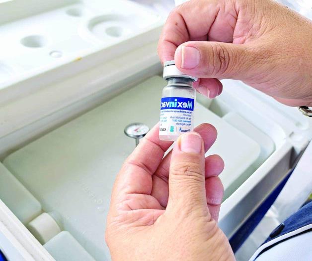 Aplicarán la vacuna VPH, enfocada en los varones