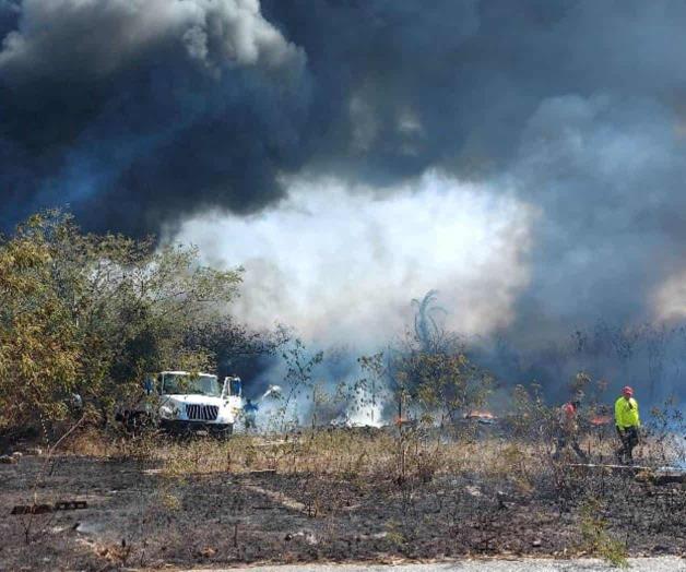 Arrasan llamas 359 hect&aacute;reas