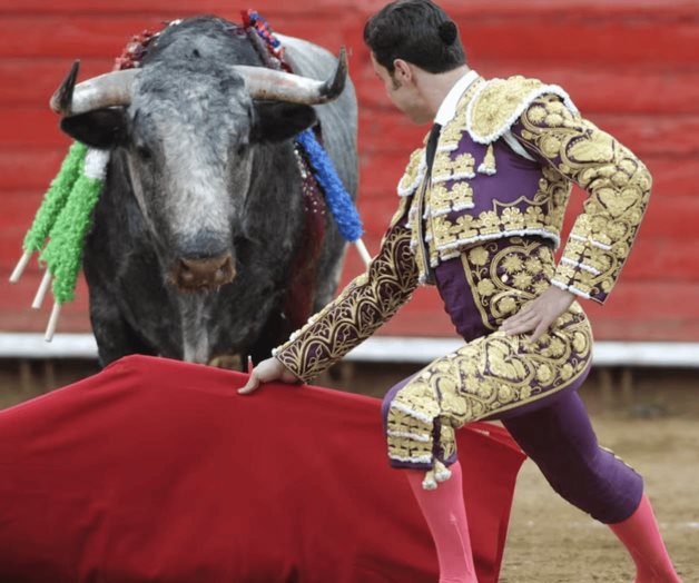 Toreros alzan la voz ante la aprobación de corridas sin violencia