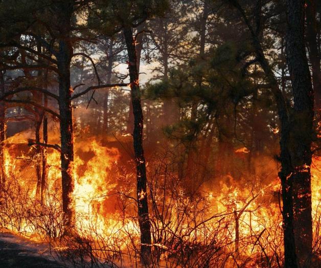 Declaración de emergencia en Carolinas Declaración de emergencia en Carolinas