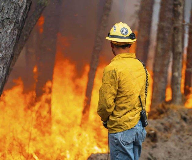 Combaten varios incendios forestales en las Carolinas