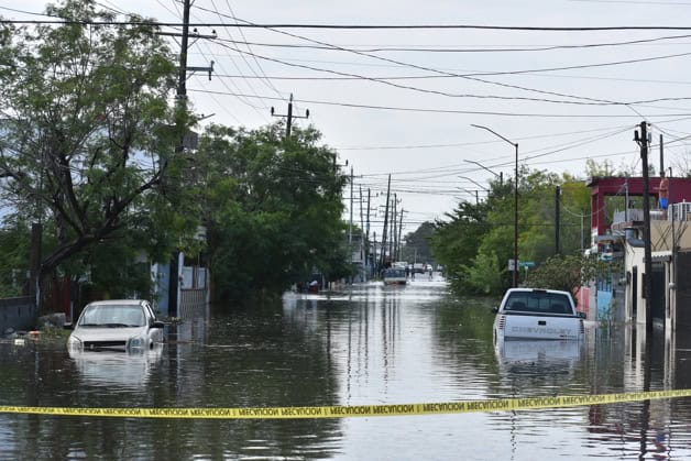 ´Salió mi hijo con mis nietos a pedir ayuda, y yo después con mi perro´ ´Salió mi hijo con mis nietos a pedir ayuda, y yo después con mi perro´