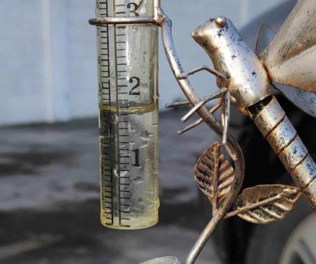 Dejan lluvias buena humedad para los productores agrícolas en Valle Hermoso Dejan lluvias buena humedad para los productores agrícolas en Valle Hermoso