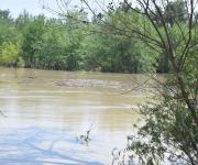 Crecida del río Bravo mantiene en alerta a habitantes del Ejido Los Longoria.