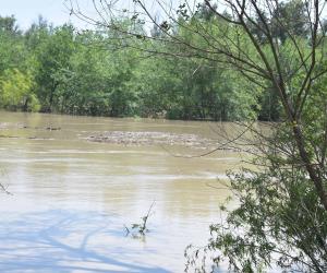 Crecida del río Bravo mantiene en alerta a habitantes del Ejido Los Longoria.