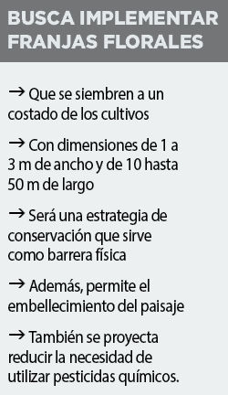 Propone cuidado del medio ambiente en labores agr&iacute;colas