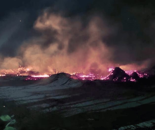 Combaten incendio en zona de manglares en Sisal, Yucatán Combaten incendio en zona de manglares en Sisal, Yucatán