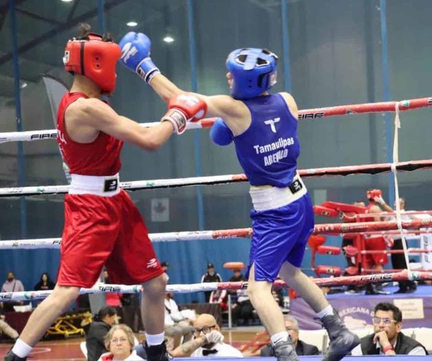Avanzan 11 boxeadores a la Olimpiada Nacional Avanzan 11 boxeadores a la Olimpiada Nacional