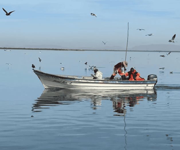 Inicia veda temporal del camarón en el litoral del Océano Pacífico
