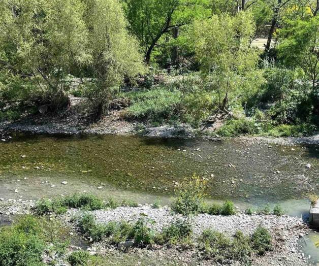Denuncias por descargas de aguas negras en el Río La Silla de Guadalupe Denuncias por descargas de aguas negras en el Río La Silla de Guadalupe