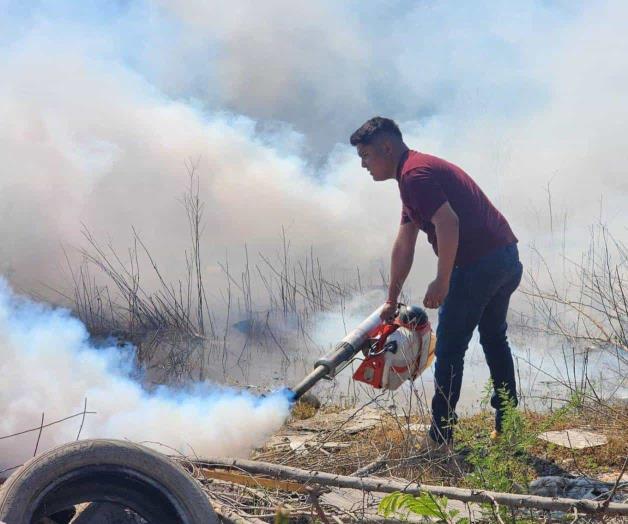 Intensifican fumigación