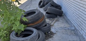 Convoca IMSS Reynosa a prevenir dengue