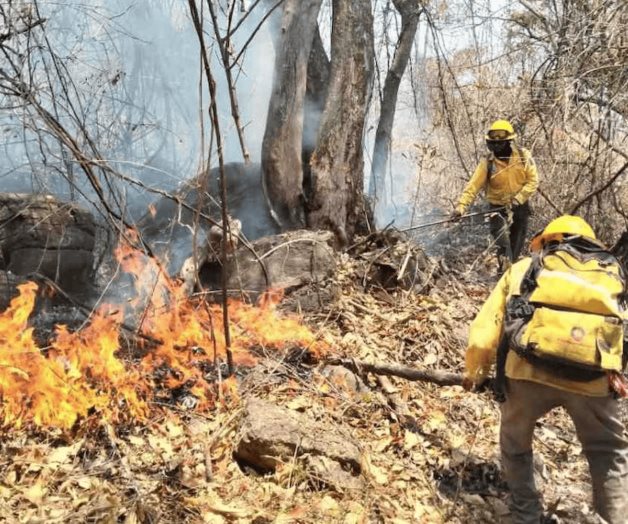 Conafor pide a civiles no combatir incendios forestales