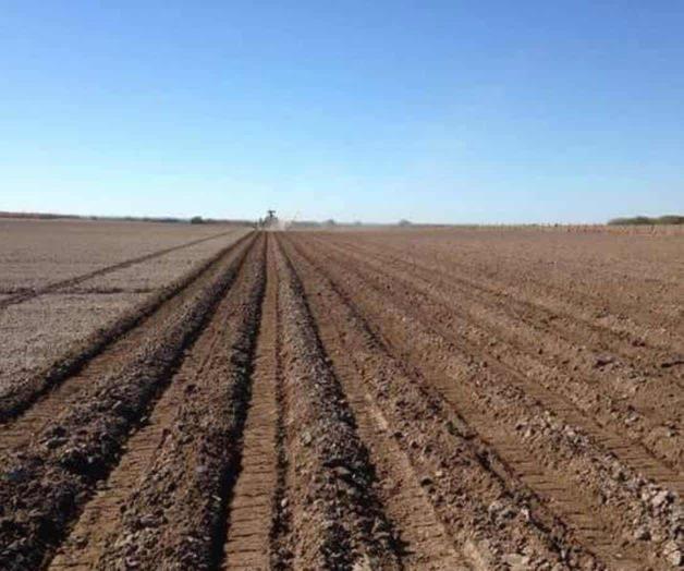 Exigen rehabilitar presa ´La Llorona´ para riego agrícola Exigen rehabilitar presa ´La Llorona´ para riego agrícola