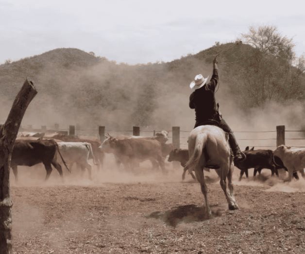 Recuperan 42 ranchos y dos minas en Sonora Recuperan 42 ranchos y dos minas en Sonora