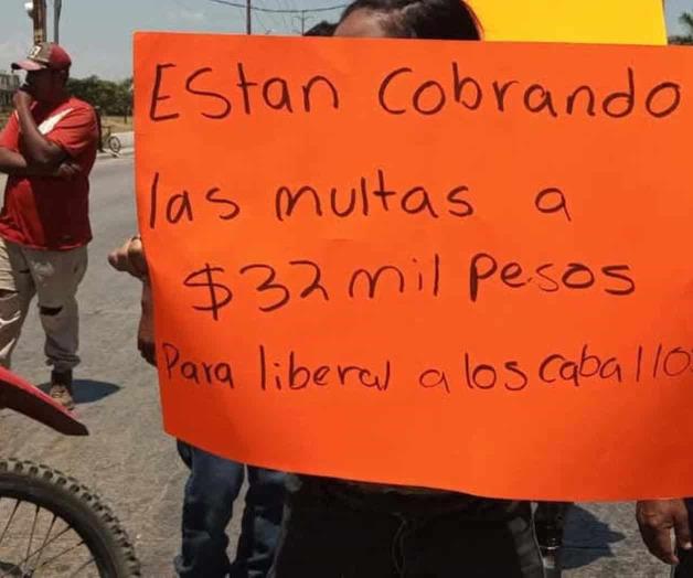 Rescate de caballos es sin cobros Rescate de caballos es sin cobros
