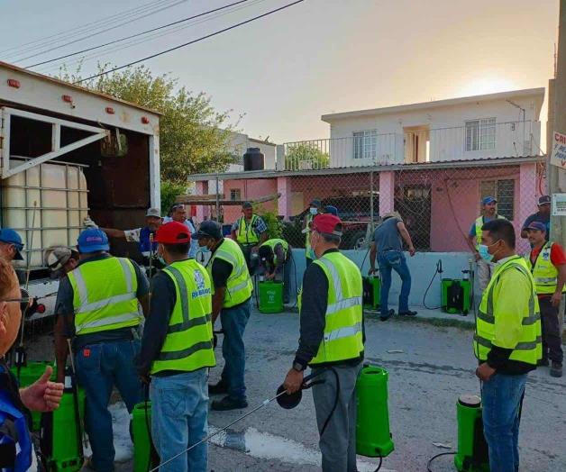 Intensifican la jornada de fumigación contra moscos