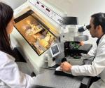 Es UAT líder en la investigación
