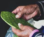 Las propiedades de la baba de los nopales