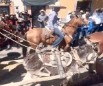 Maltrato animal en Zacatecas; burro colapsa durante cabalgata