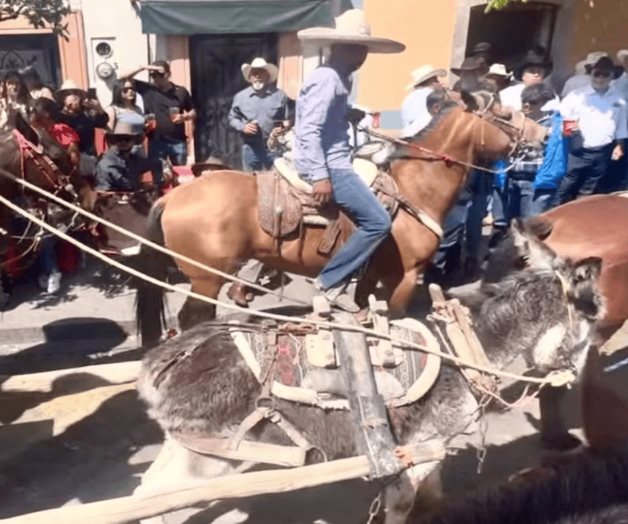 Maltrato animal en Zacatecas; burro colapsa durante cabalgata Maltrato animal en Zacatecas; burro colapsa durante cabalgata
