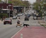 Rechazan planes de reducir carriles para evitar choques
