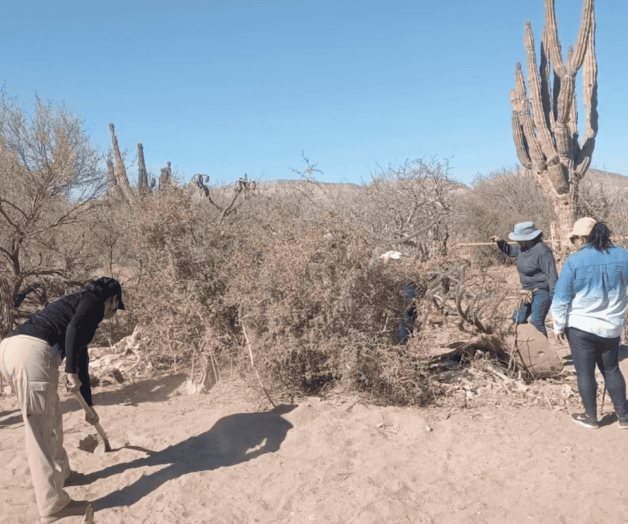 Localizan 5 fosas clandestinas durante el fin de Semana Santa en BCS Localizan 5 fosas clandestinas durante el fin de Semana Santa en BCS