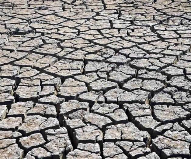 Impacto de la sequía en Chihuahua Impacto de la sequía en Chihuahua