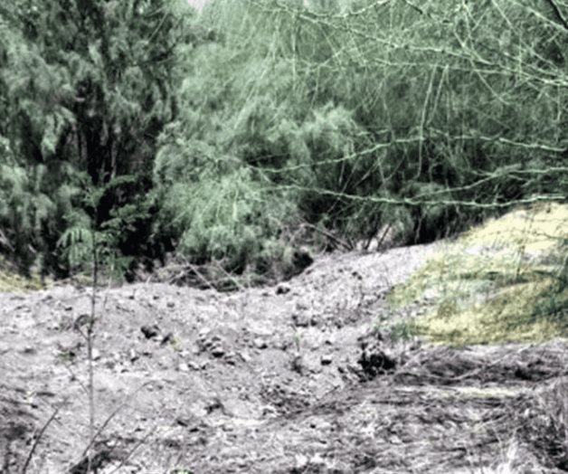 Hallan siete fosas clandestinas en Sinaloa; suman 11 cuerpos Hallan siete fosas clandestinas en Sinaloa; suman 11 cuerpos