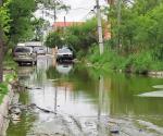 Temen surja brote de dengue por calles anegadas en Colonia Las Delicias