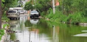 Temen surja brote de dengue por calles anegadas en Colonia Las Delicias