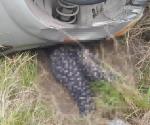Muere mujer en volcadura sobre carretera San Fernando-Reynosa
