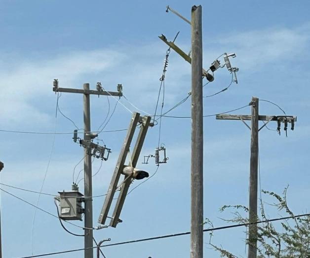 Miles de familias sufren afectaciones: Sin electricidad en  zona de la Laguna