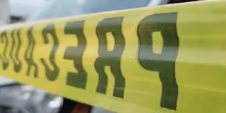 Hombre fallece debido a picaduras de abejas