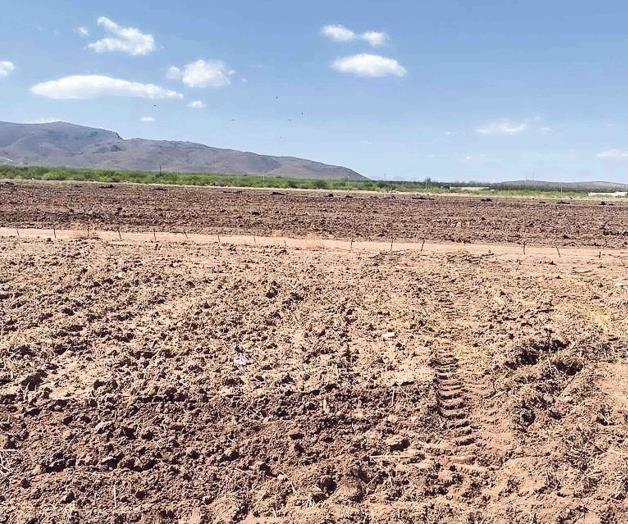 Prevén agricultores un 2025 ´muy seco´ Prevén agricultores un 2025 ´muy seco´