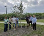 Celebran ´Día del Árbol´ con ley de reforestación