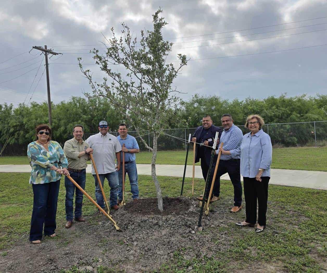 Celebran ´Día del Árbol´ con ley de reforestación