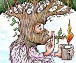 Incendios, ¡no!