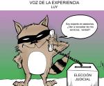 Voz de la experiencia