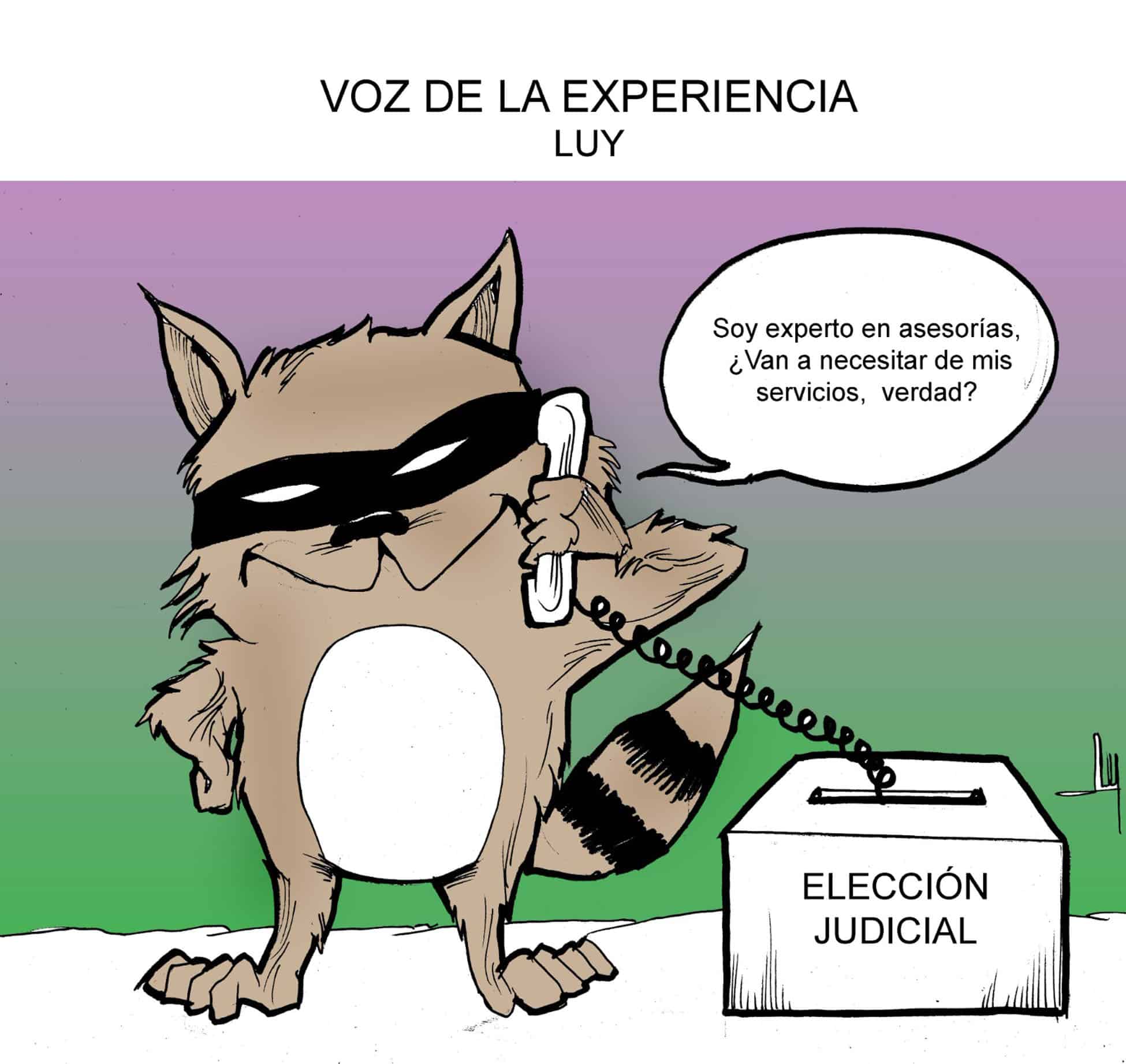 Voz de la experiencia Voz de la experiencia