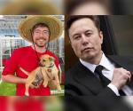¿Se acerca nueva colaboración entre Elon Musk y MrBeast?